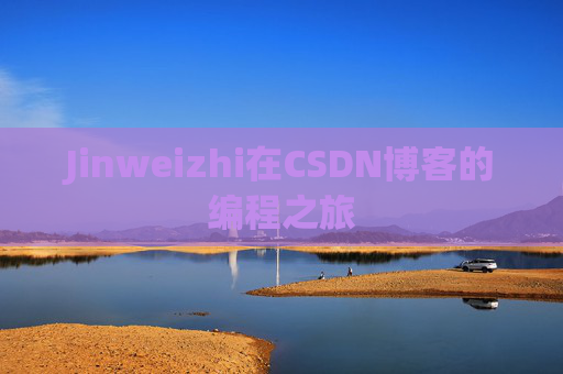 Jinweizhi在CSDN博客的编程之旅